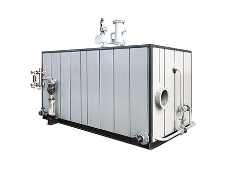 低氮燃?xì)庹羝l(fā)生器